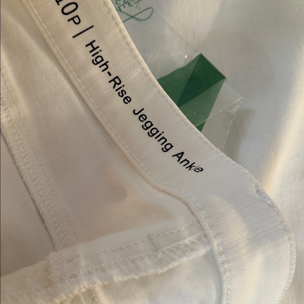 SPRING! Classic TALBOTS High-Rise Jeggings Ankle 10P NWOT Orig $95 - Picture 5 of 5